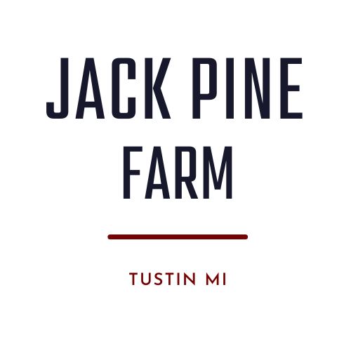 JackPine